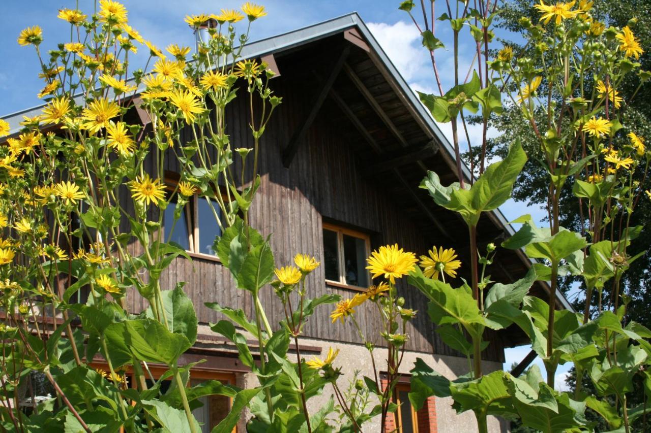 Bed and Breakfast Notre Cachette Biffontaine Zewnętrze zdjęcie